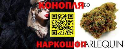 Альфа ПВП Малоярославец