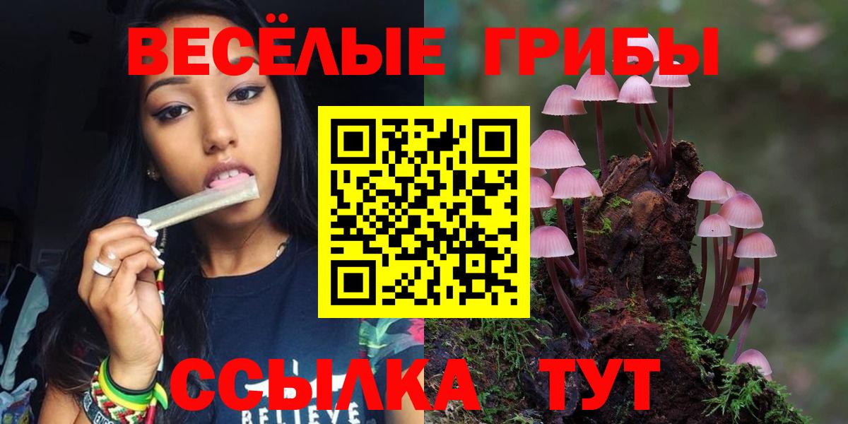 Галлюциногенные грибы GOLDEN TEACHER  Вход с VPN  Сыктывкар 