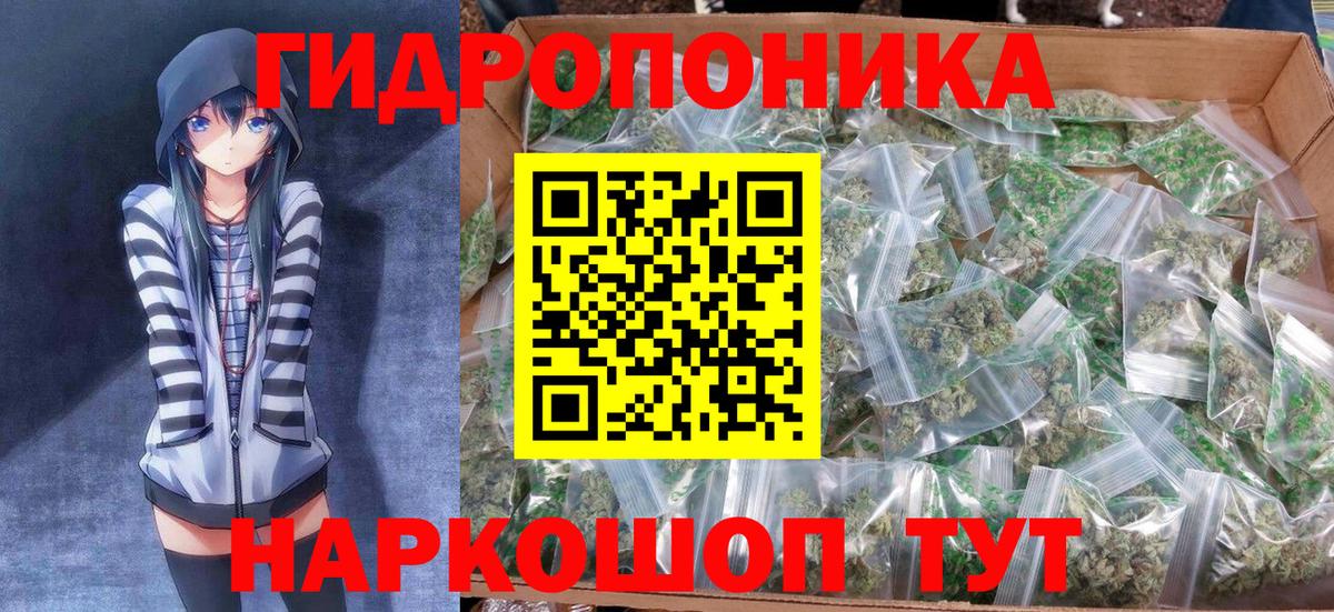 Бошки марихуана сатива  МАРИХУАНА план  Сыктывкар  Вход с VPN 